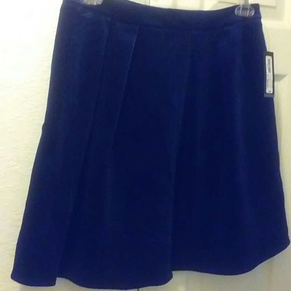 Blue Velvet Skirt